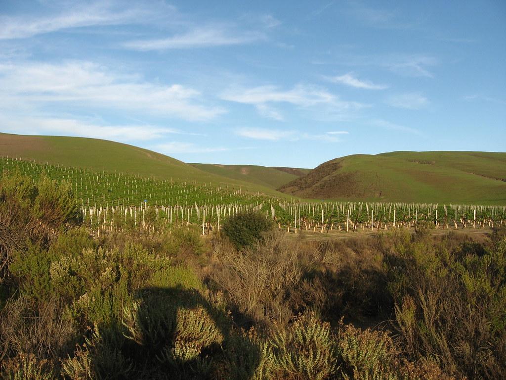 Santa Maria Candidate Disclosure Ordinance Expands Access to Local Election Funding Details
